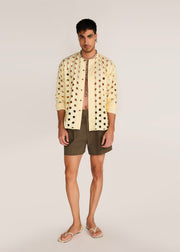 ROSANI The Covera shirt in pale lemon stripes - pale lemon laser-cut pinstriped shirt, front view